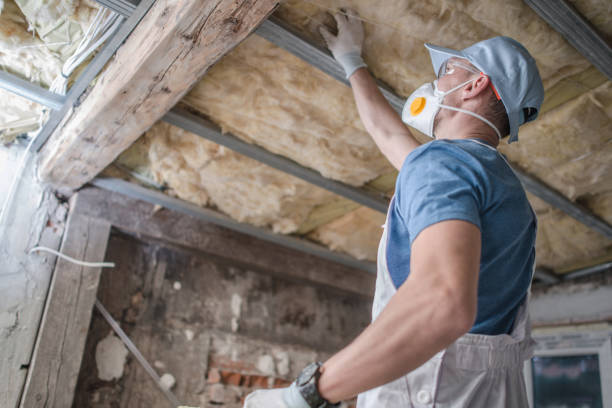 Best Insulation Maintenance and Repair in Meridian Hills, IN